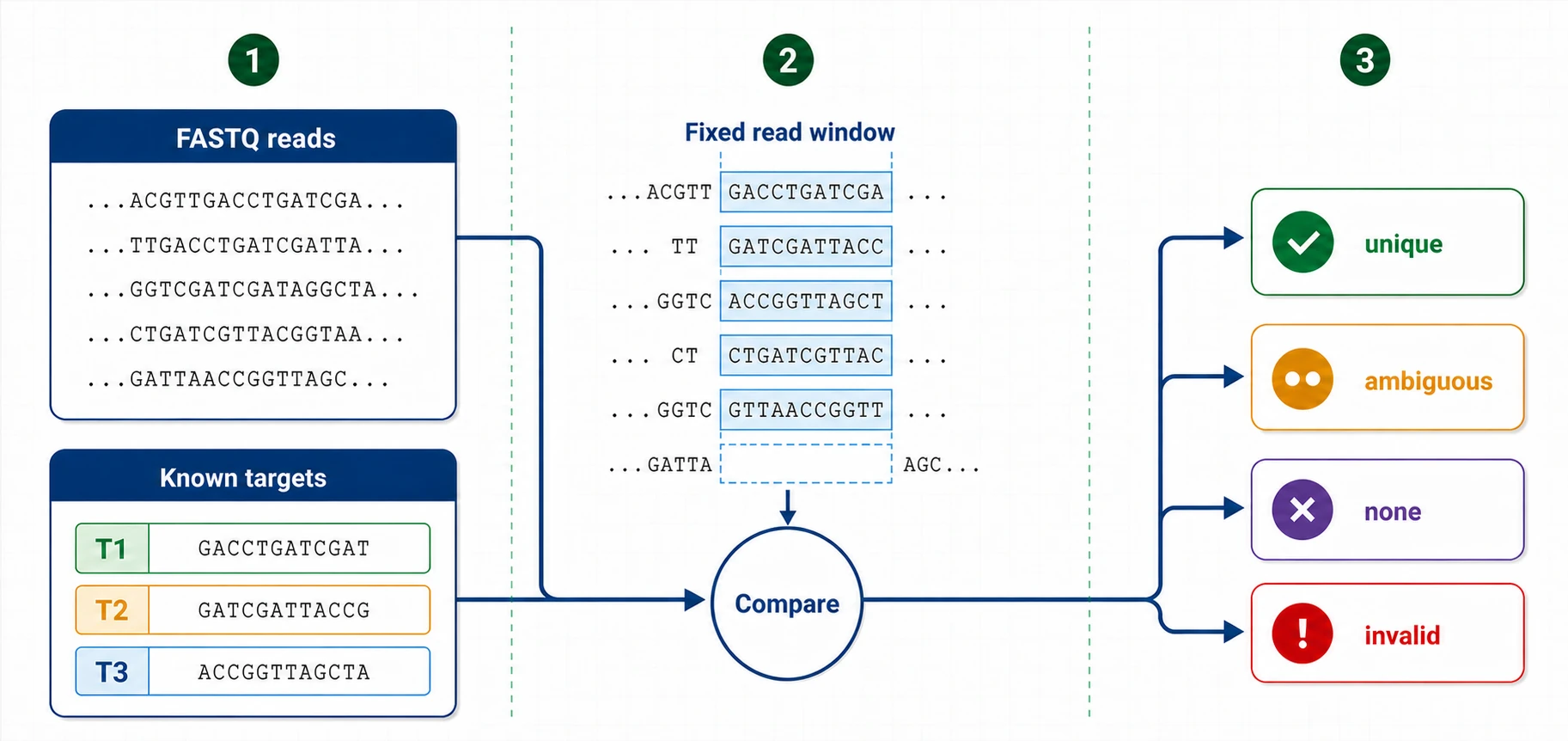 DotMatch takes FASTQ reads and a known target list, compares the same fixed-position window in every read, and reports each read as unique, ambiguous, unmatched, or invalid